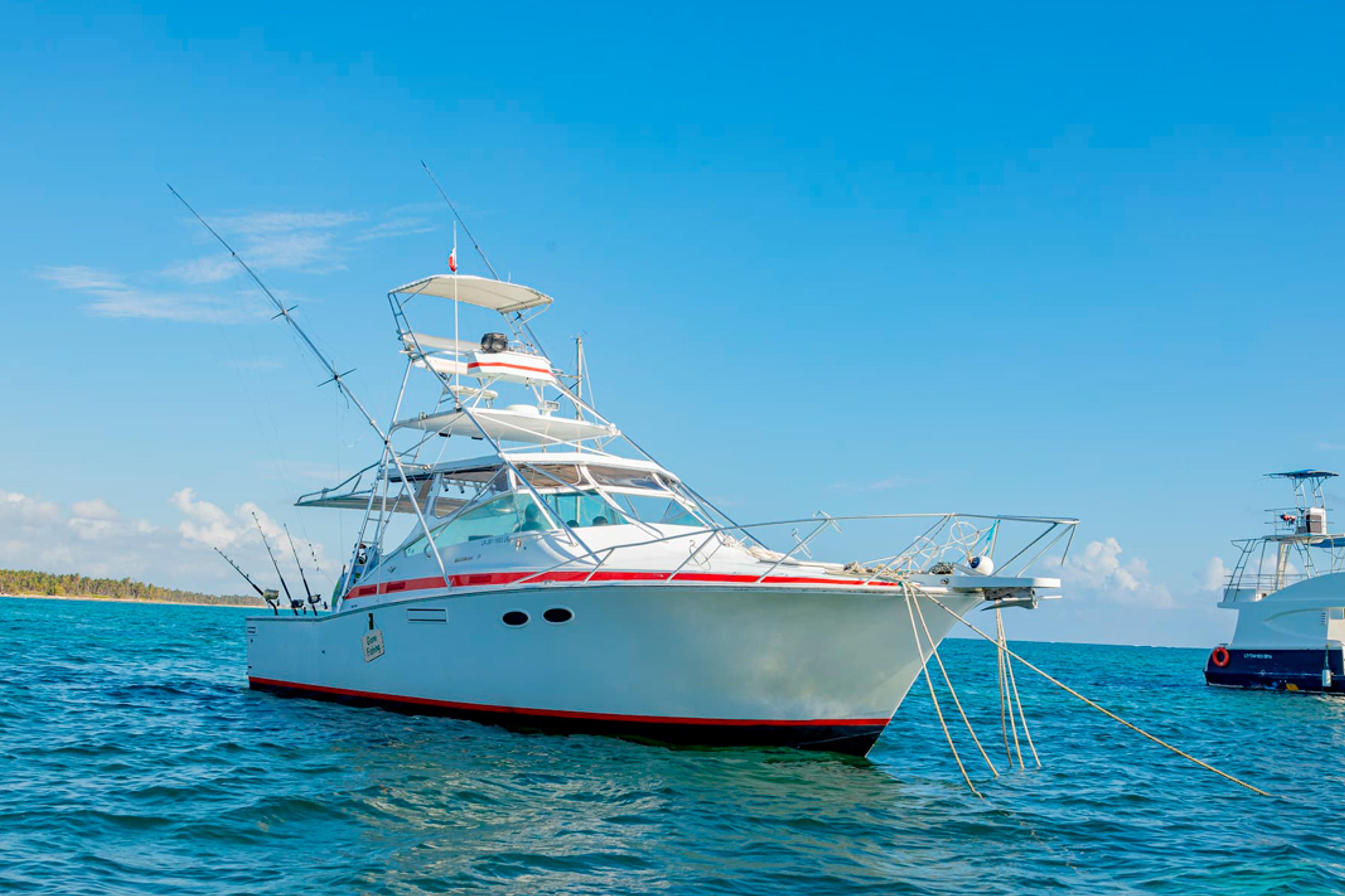Deep Sea Fishing Private