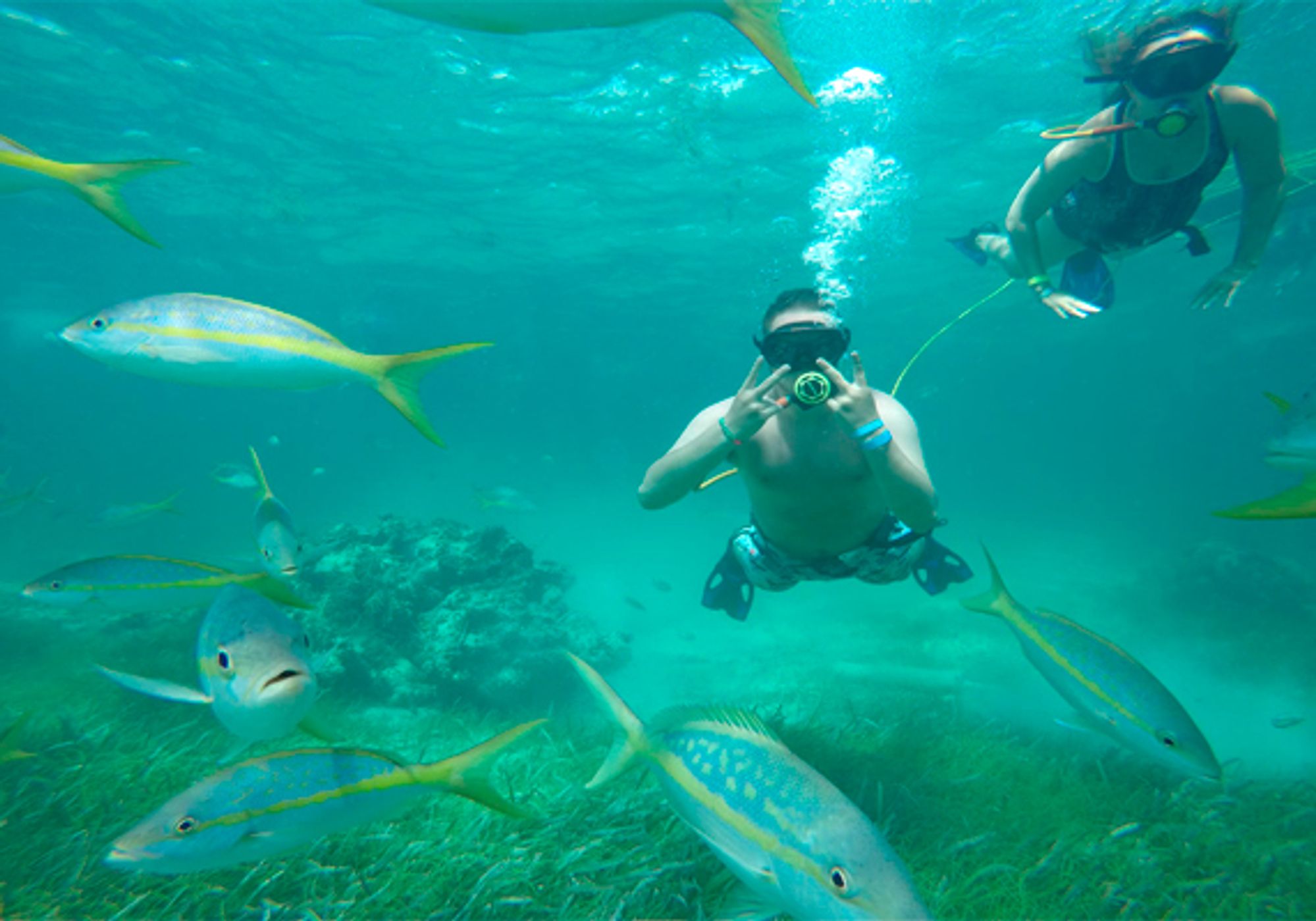 Punta Cana Sky & Sea Adventure gallery 4