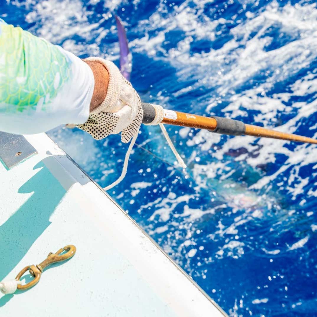 Deep Sea Fishing Share — 3