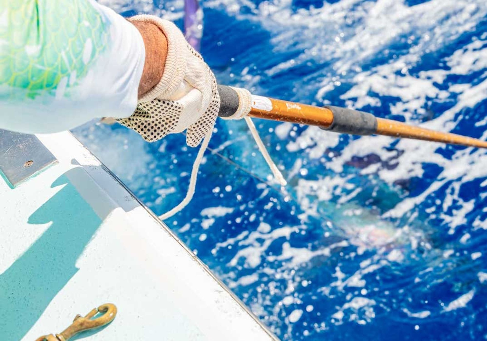 Deep Sea Fishing Share gallery 3