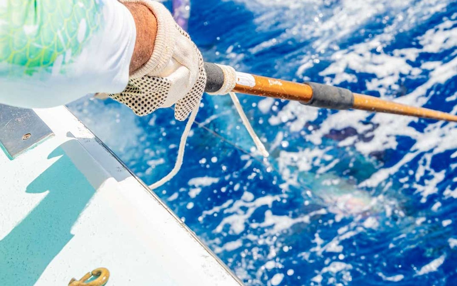 Deep Sea Fishing Share image 3