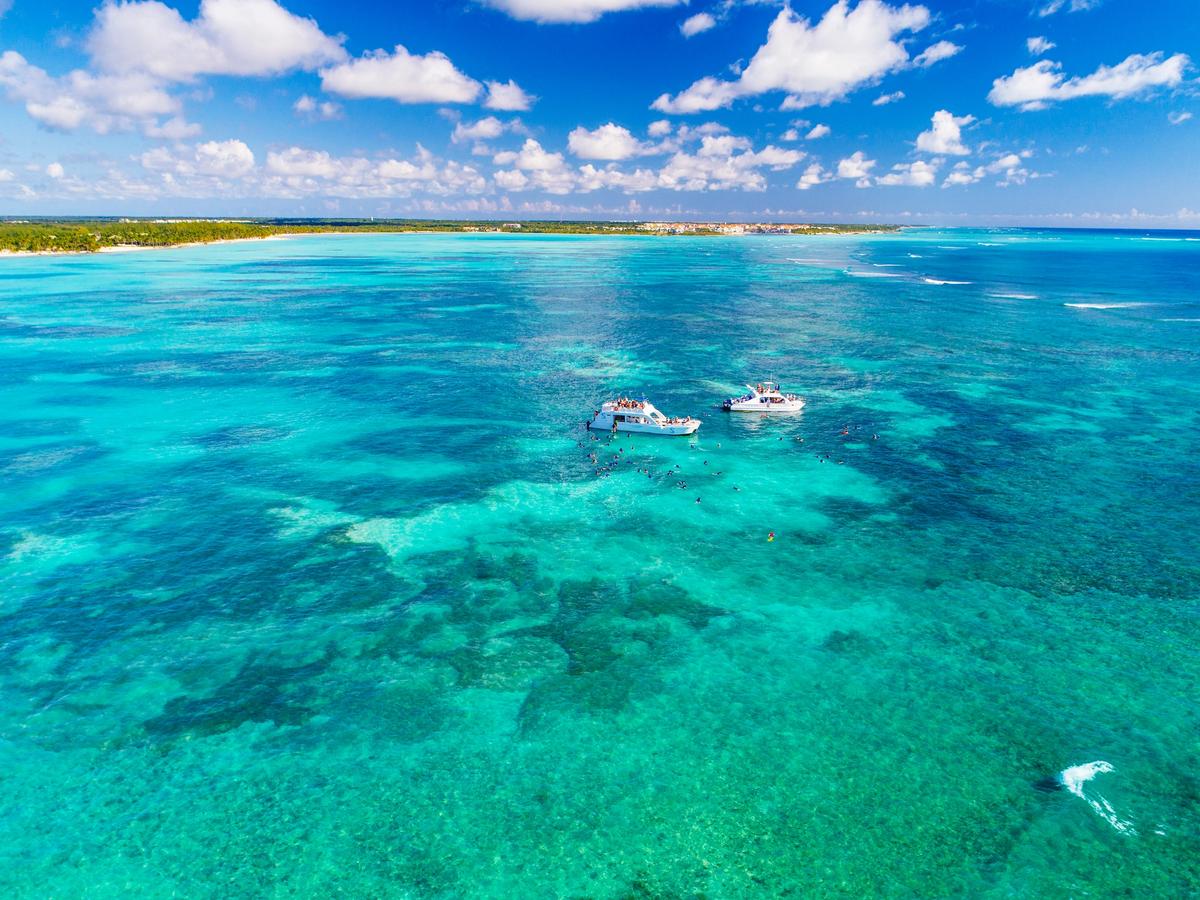 Sunshine Cruise Standalone image 1