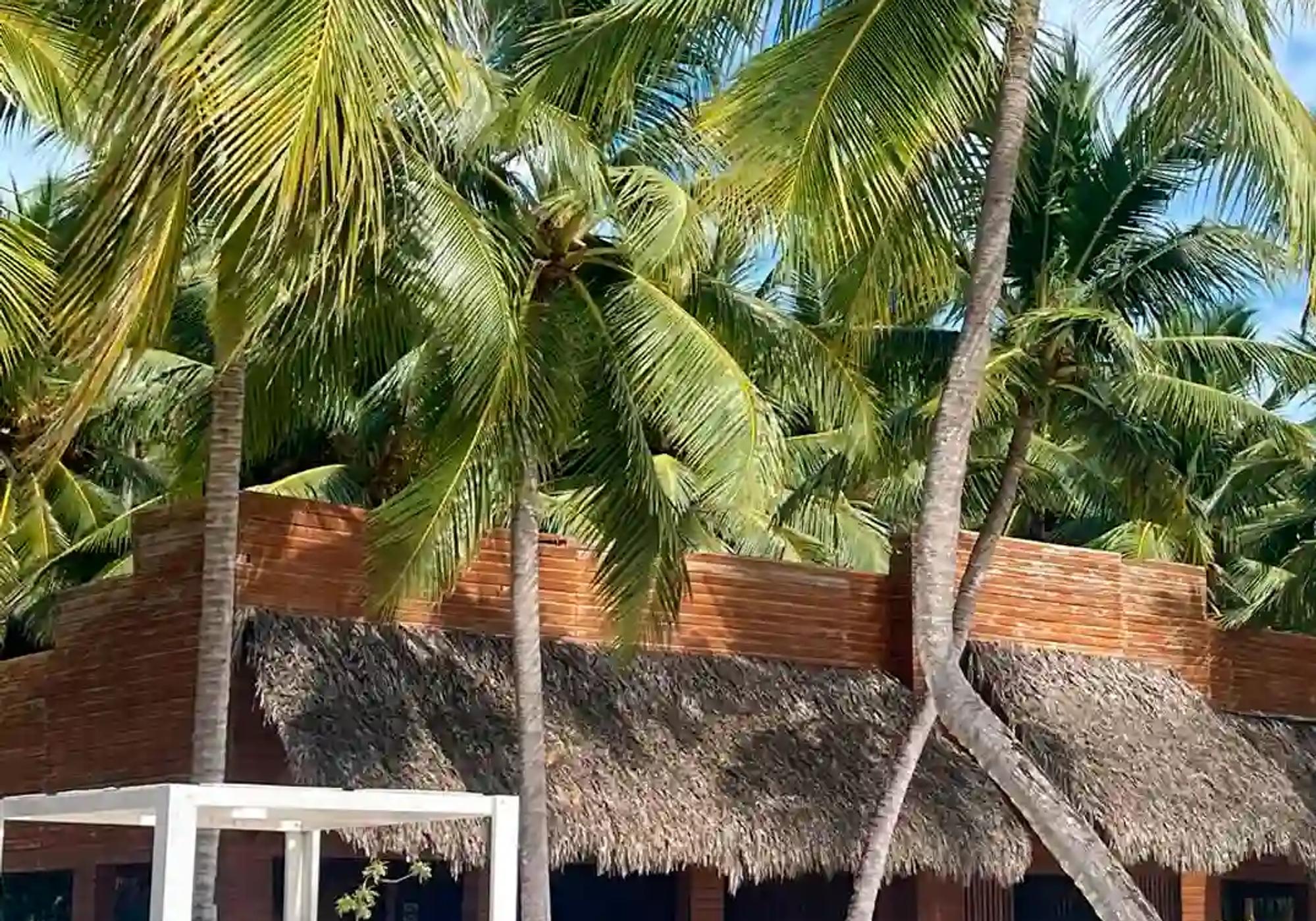 Saona Island VIP: A Tropical Escape to Remember gallery 4