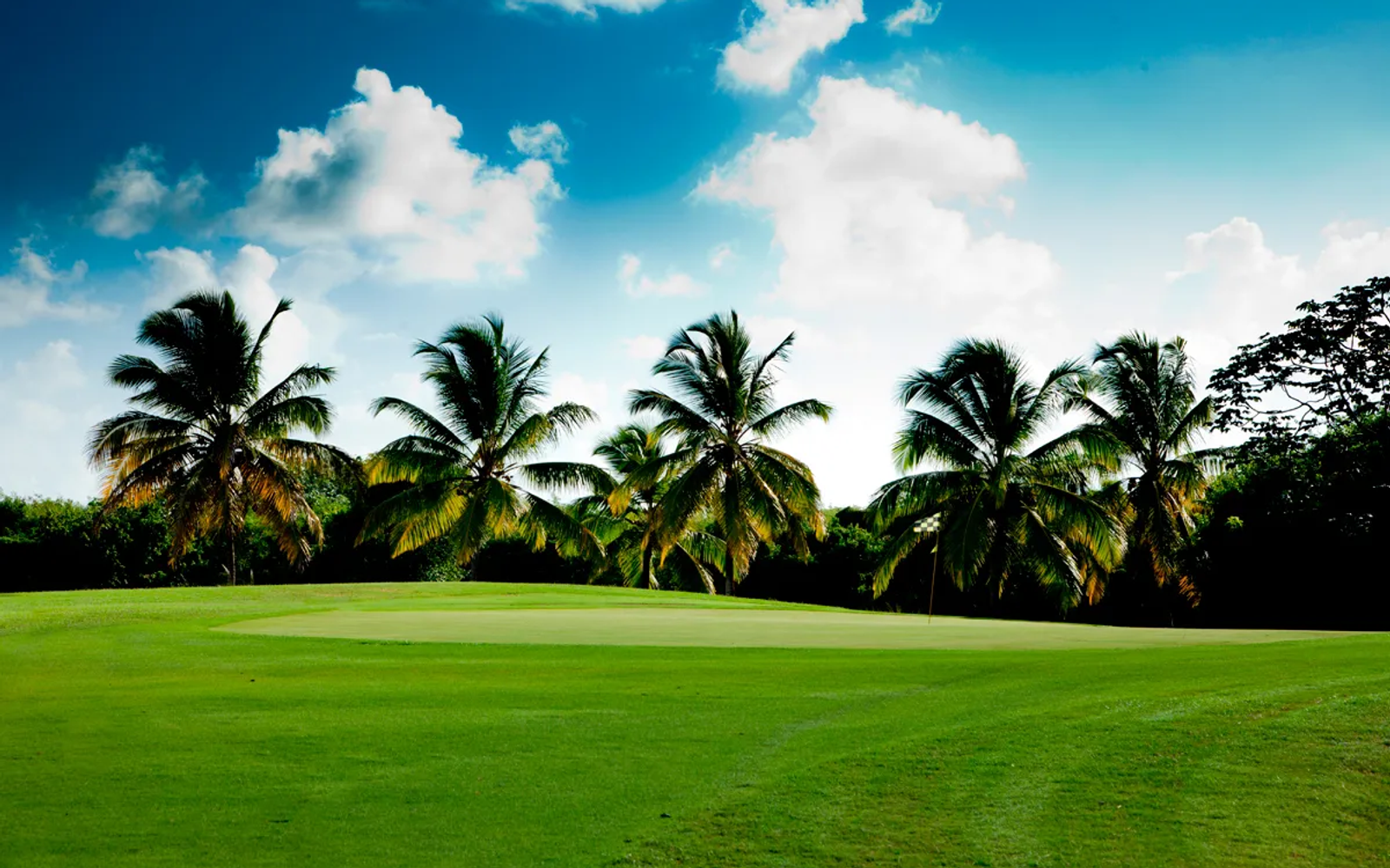Punta Blanca Golf & Country Club image 1
