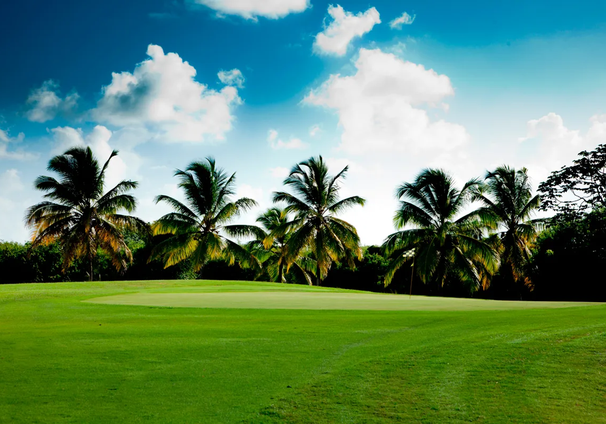 Punta Blanca Golf & Country Club gallery 1