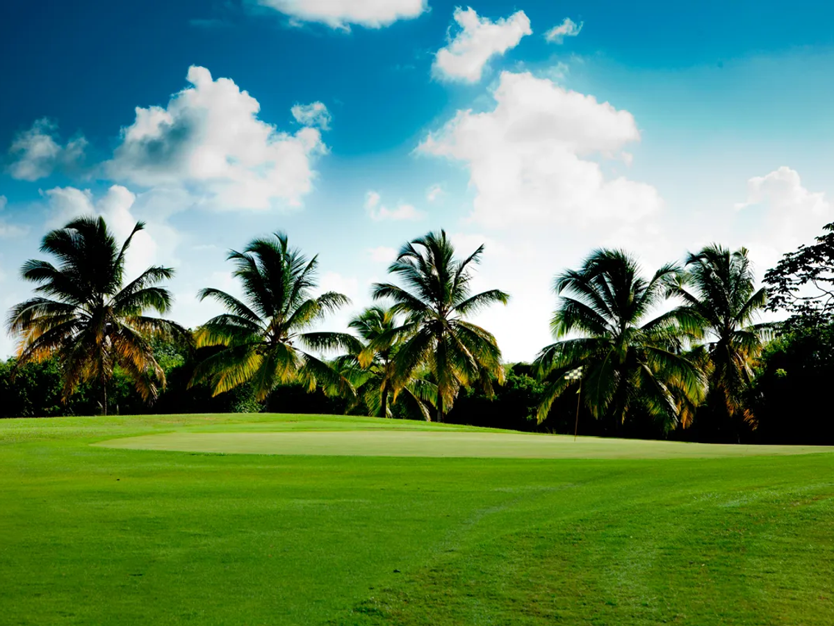 Punta Blanca Golf & Country Club image 1
