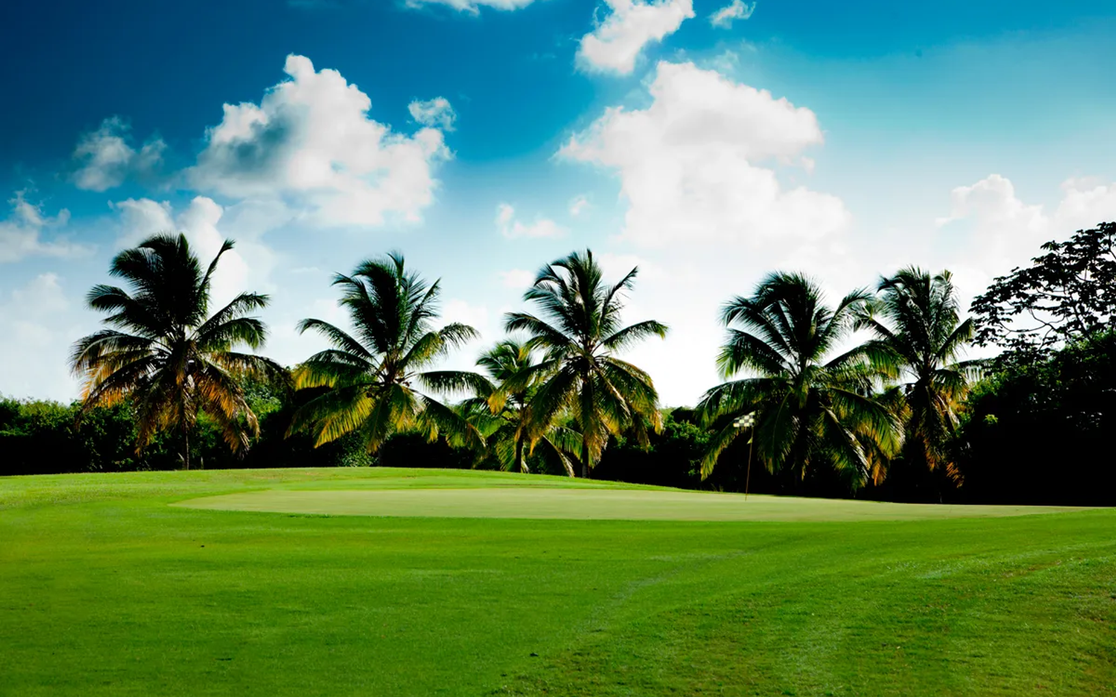 Punta Blanca Golf & Country Club — 1