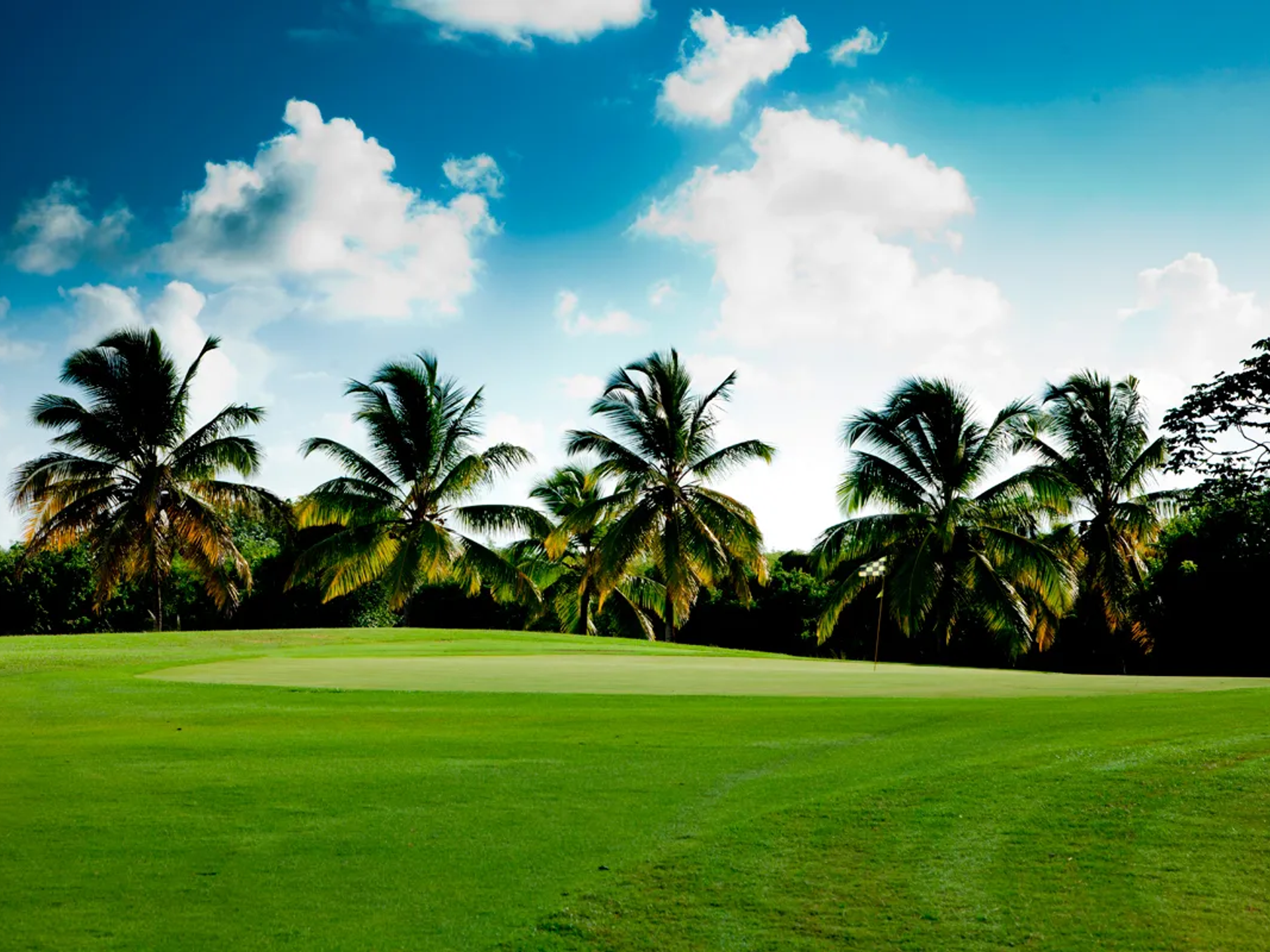 Punta Blanca Golf & Country Club — 1