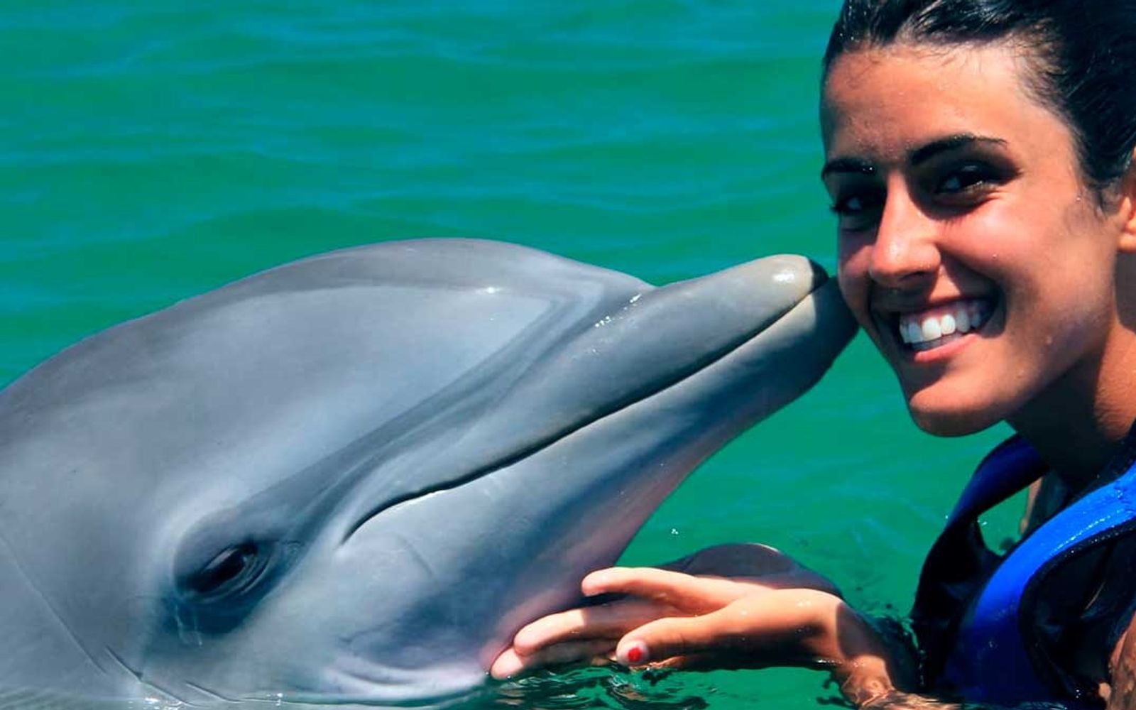 Dolphin Funtastic image 3