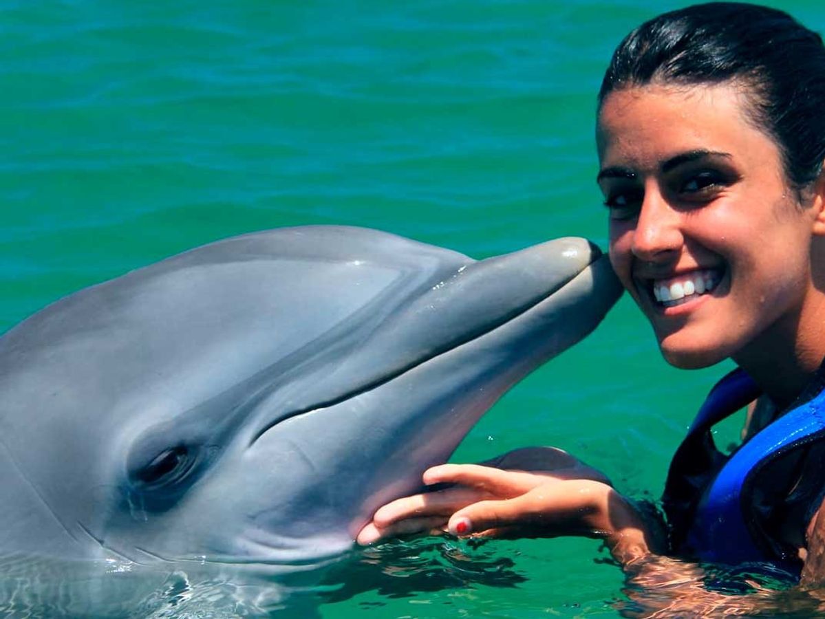 Dolphin Funtastic image 3