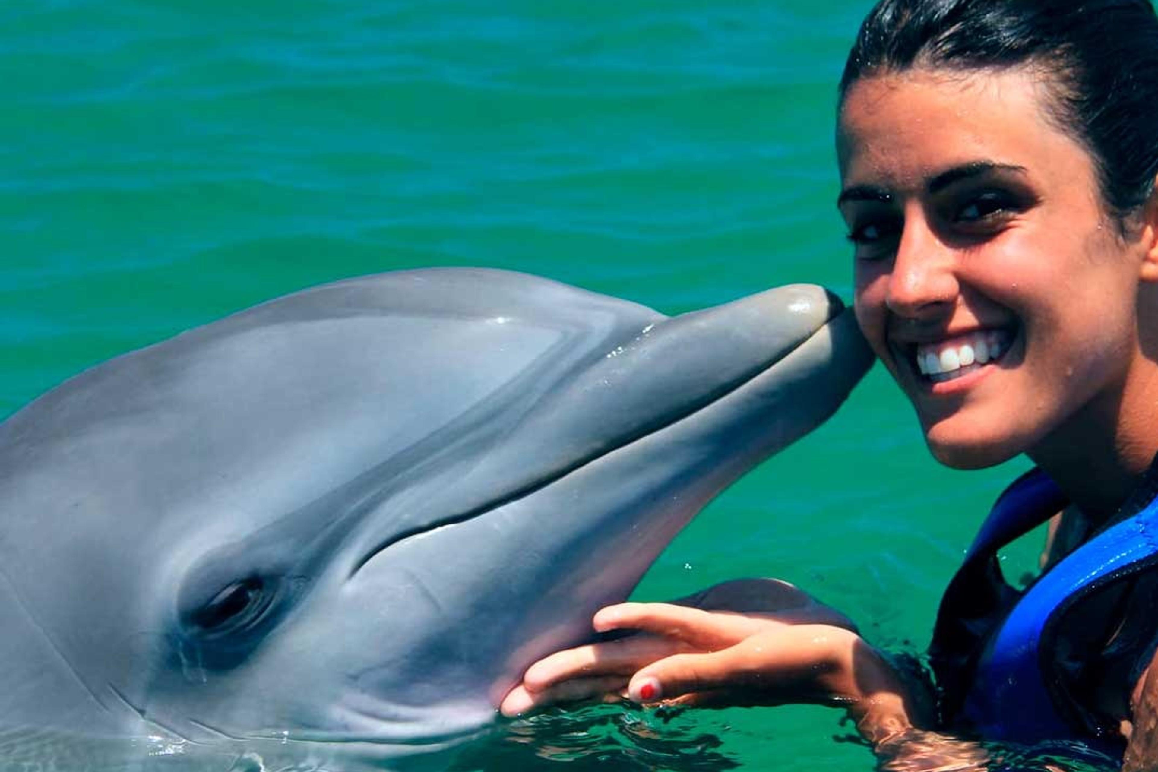 Swim with Dolphins Explorer