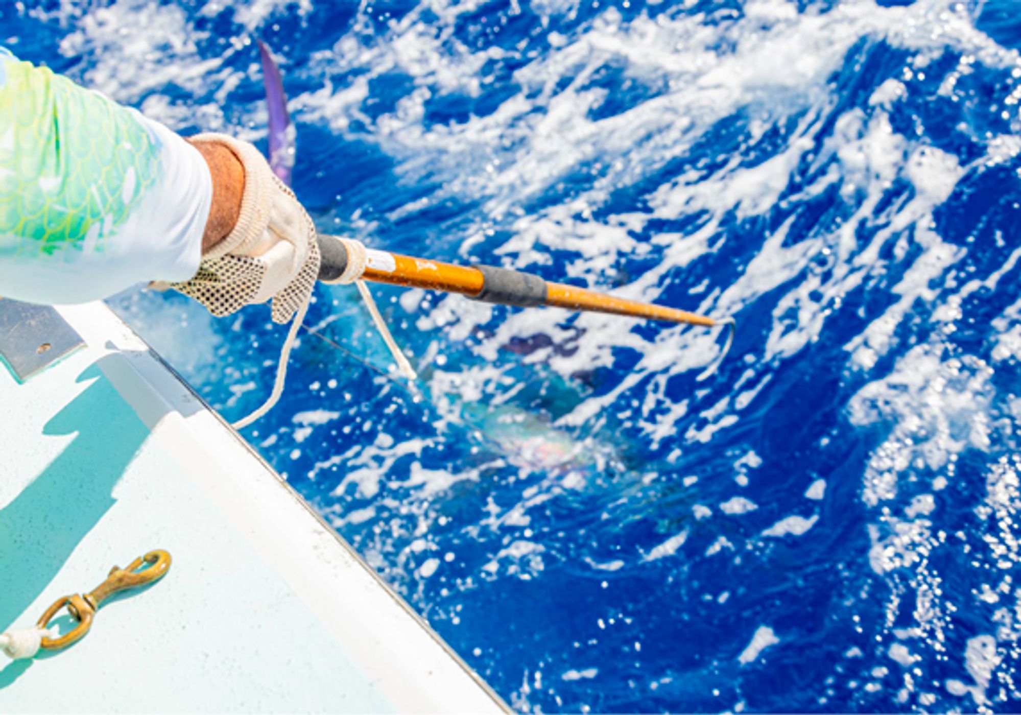 Deep Sea Fishing Private gallery 2
