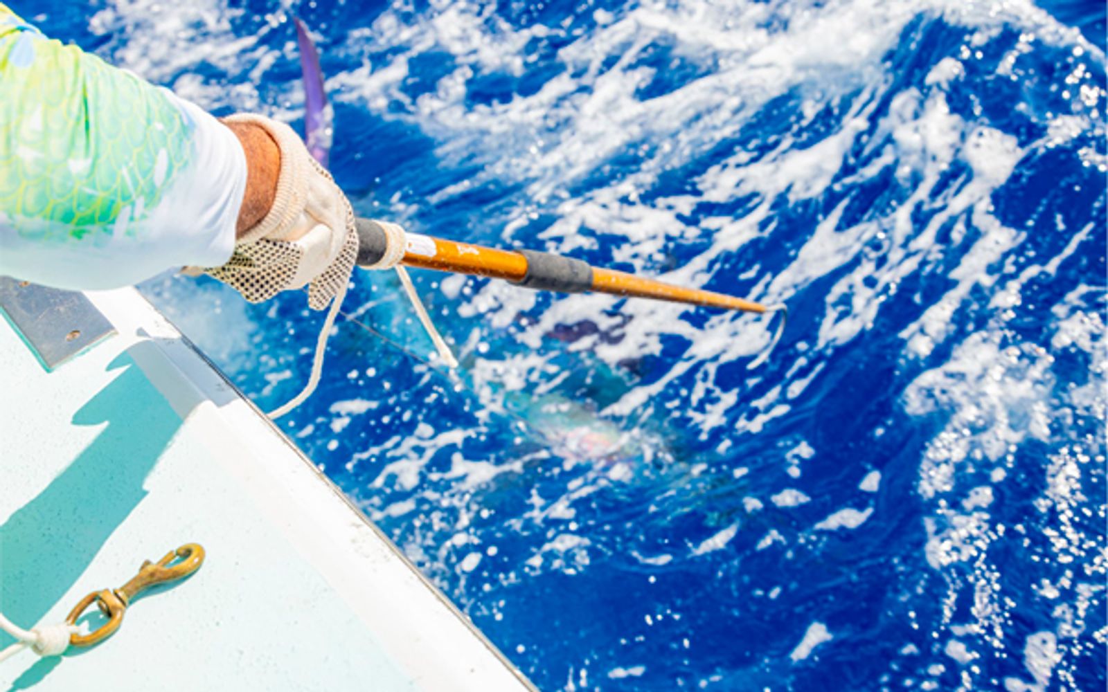 Deep Sea Fishing Private image 2