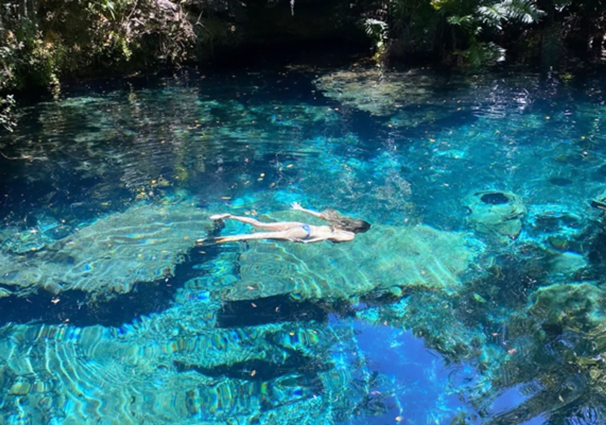 Caribbean Sea with Private Cenote Los Ojos Indígenas gallery 5