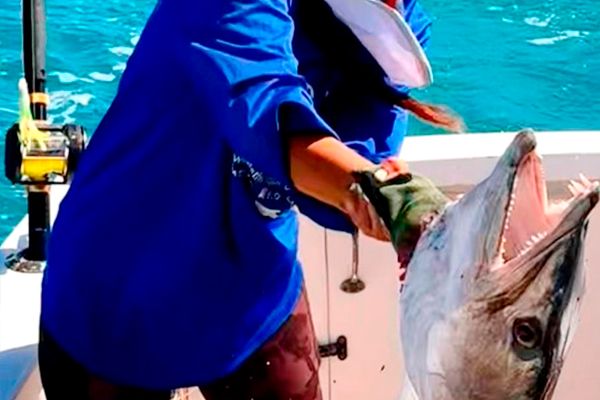Tour Privado de Pesca en las Aguas Cristalinas de Punta Cana — 4