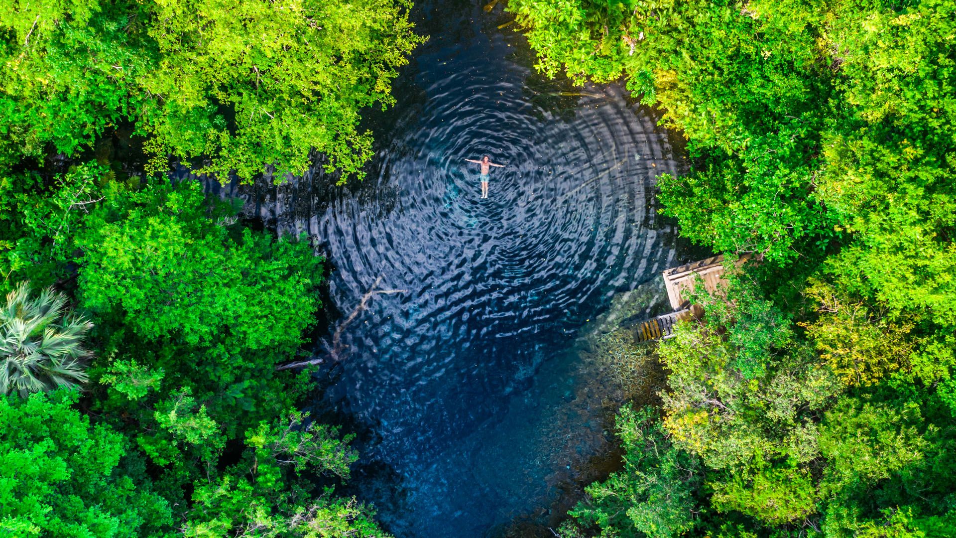 Caribbean Sea with Private Cenote Los Ojos Indígenas — 2