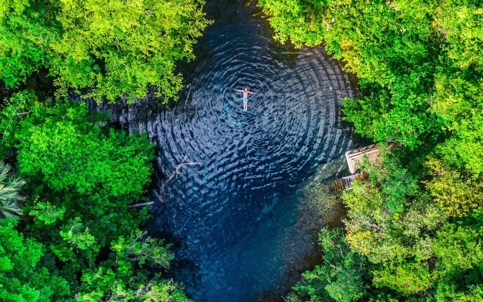 Caribbean Sea with Private Cenote Los Ojos Indígenas image 2