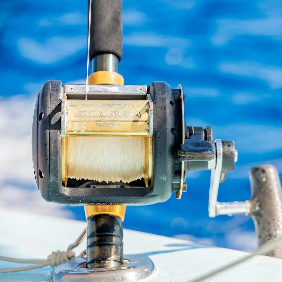 Deep Sea Fishing Share — 2