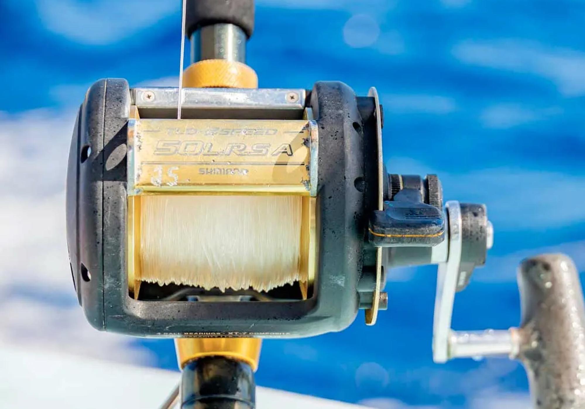 Deep Sea Fishing Share gallery 2