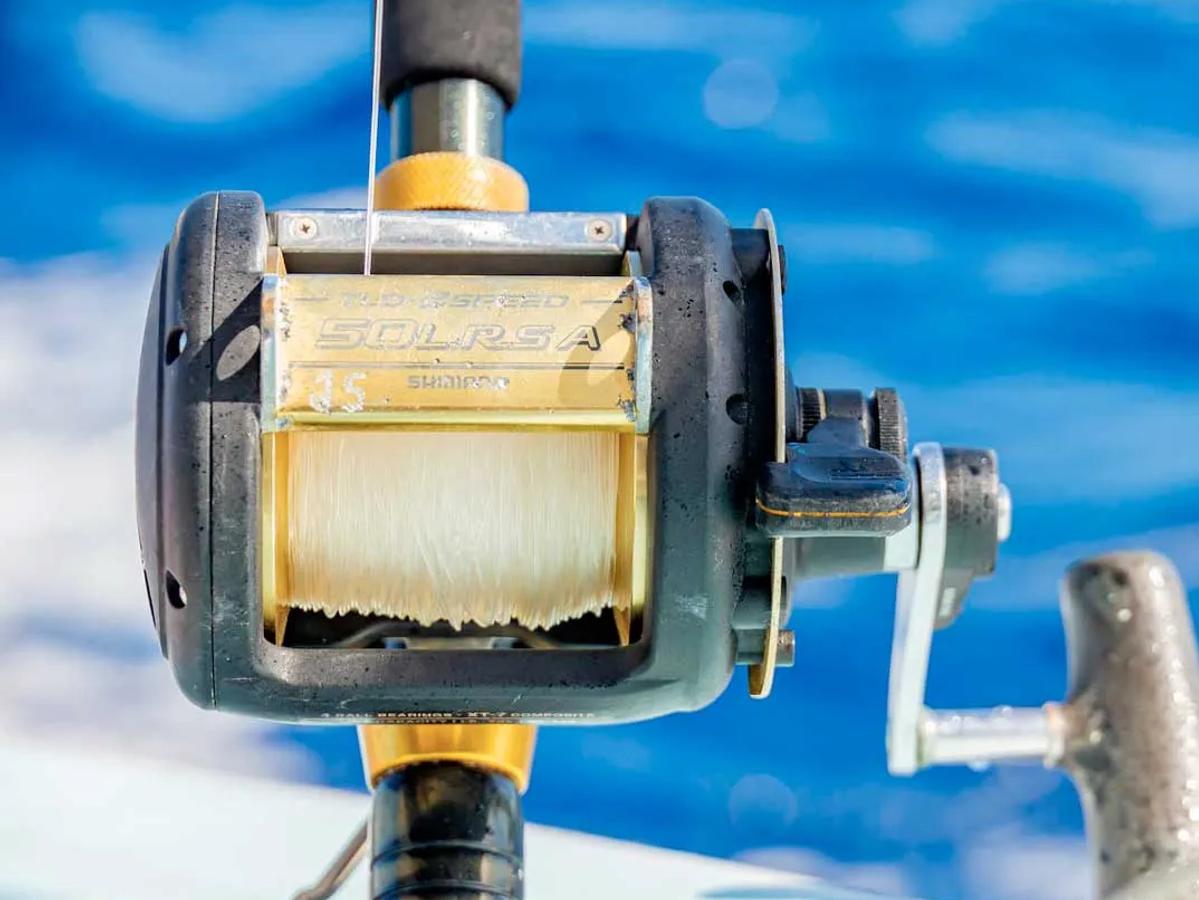 Deep Sea Fishing Share image 2