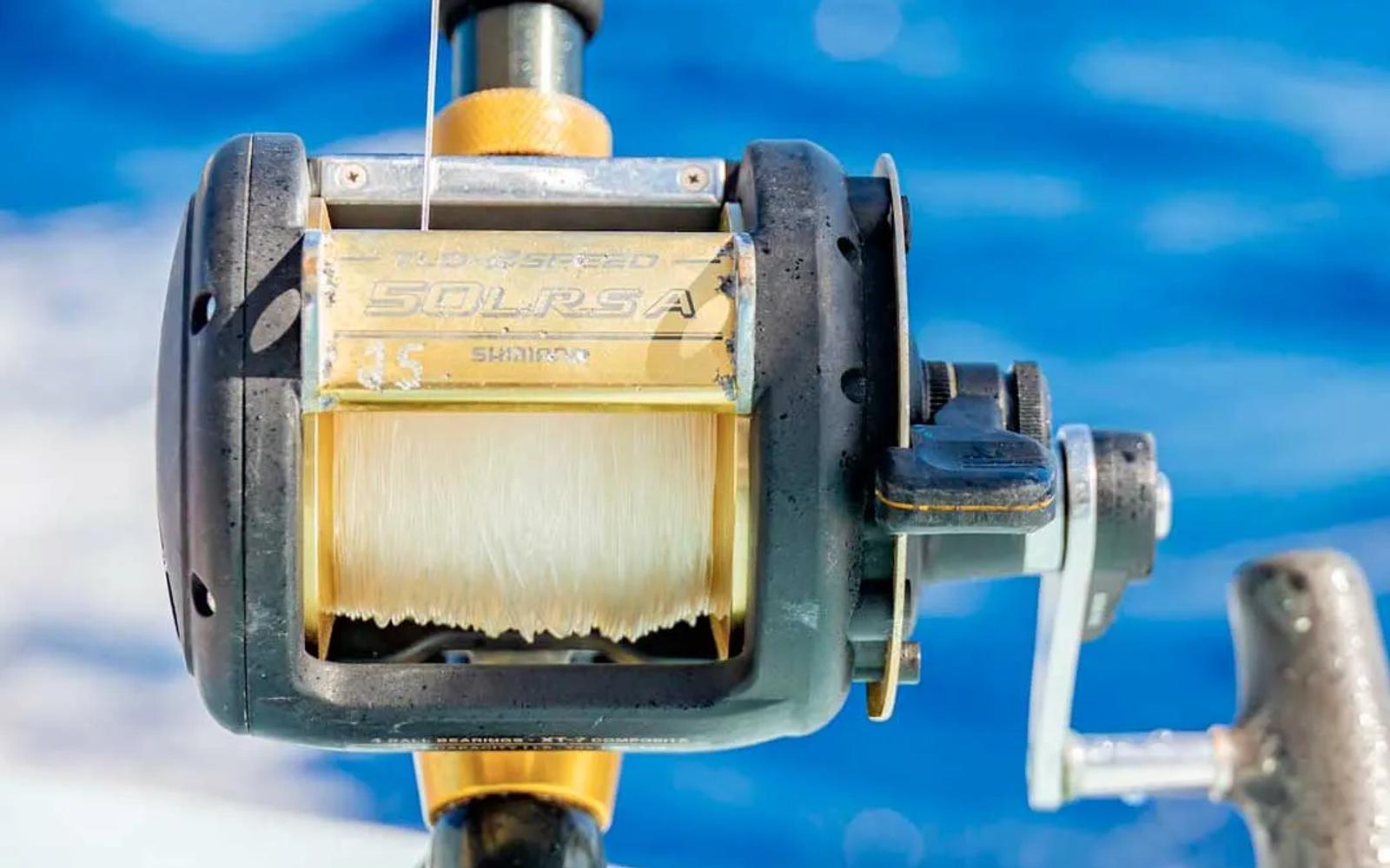 Deep Sea Fishing Share image 2