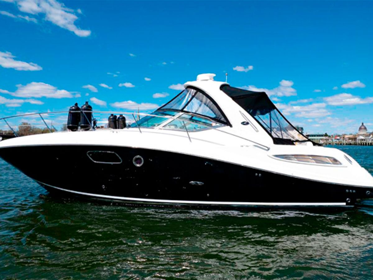 Private Express Cruise Tour in Punta Cana image 3
