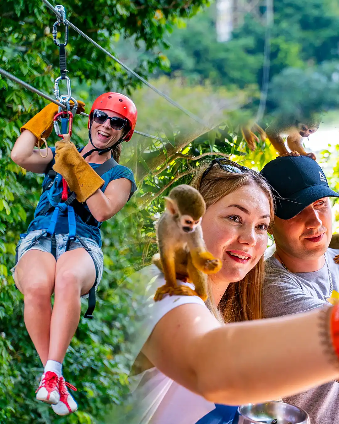 Zipline & Monkeyland Punta Cana