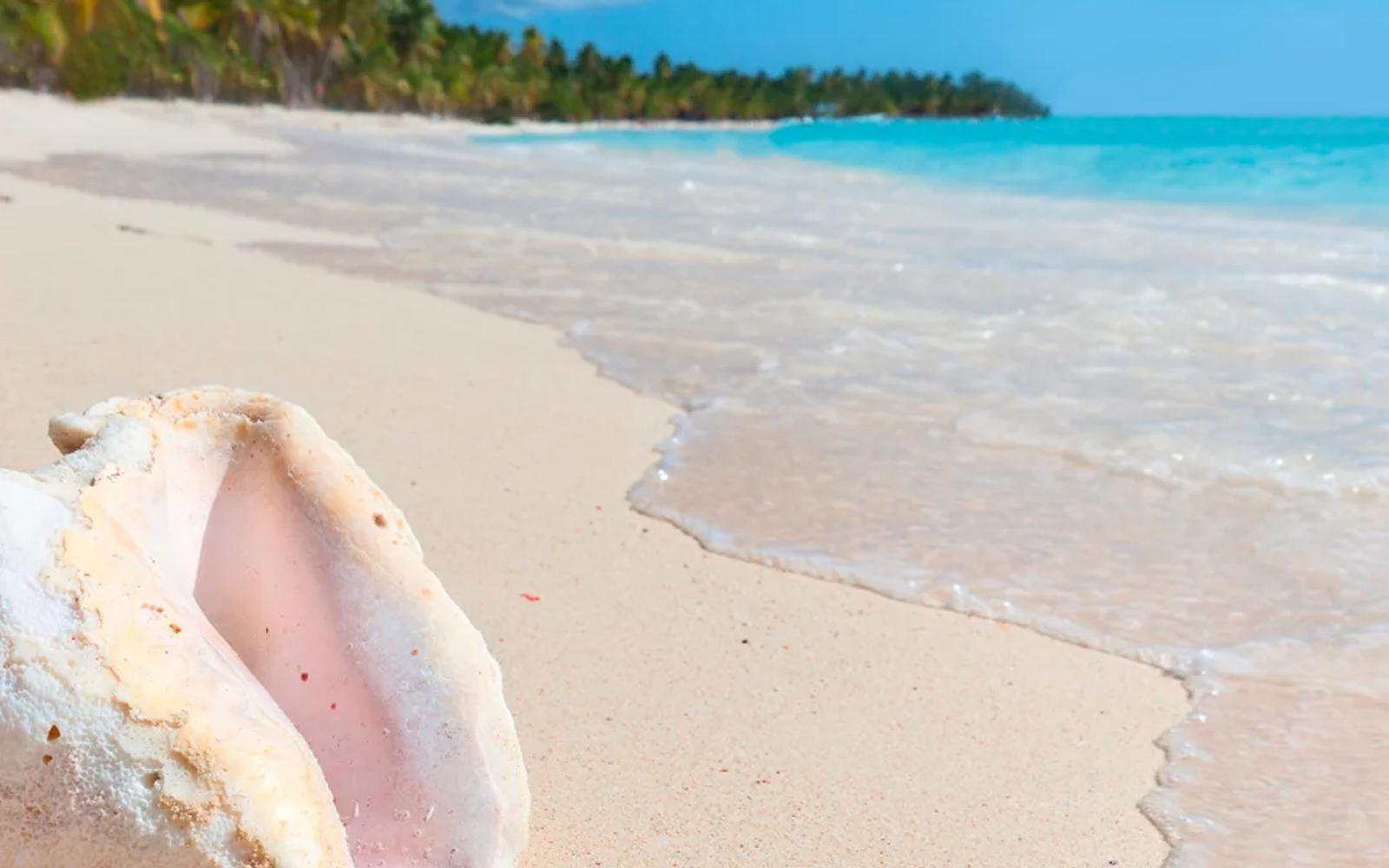 Saona Island Classic Tour image 1