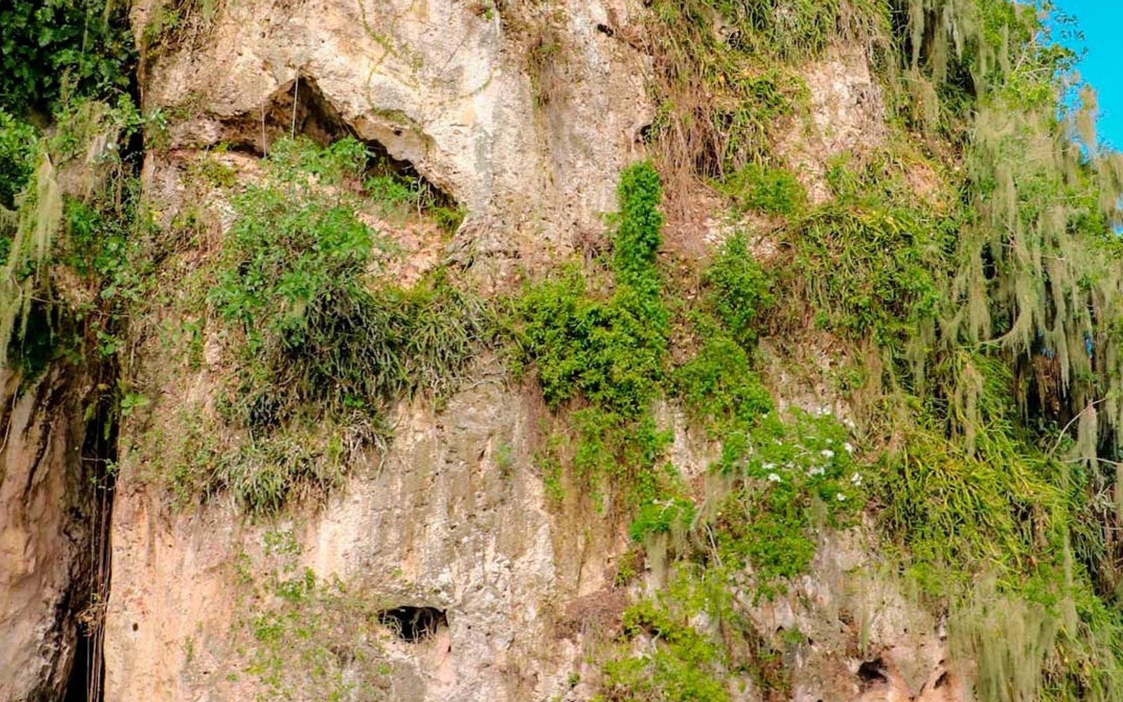Los Haitises National Park & Montaña Redonda image 2