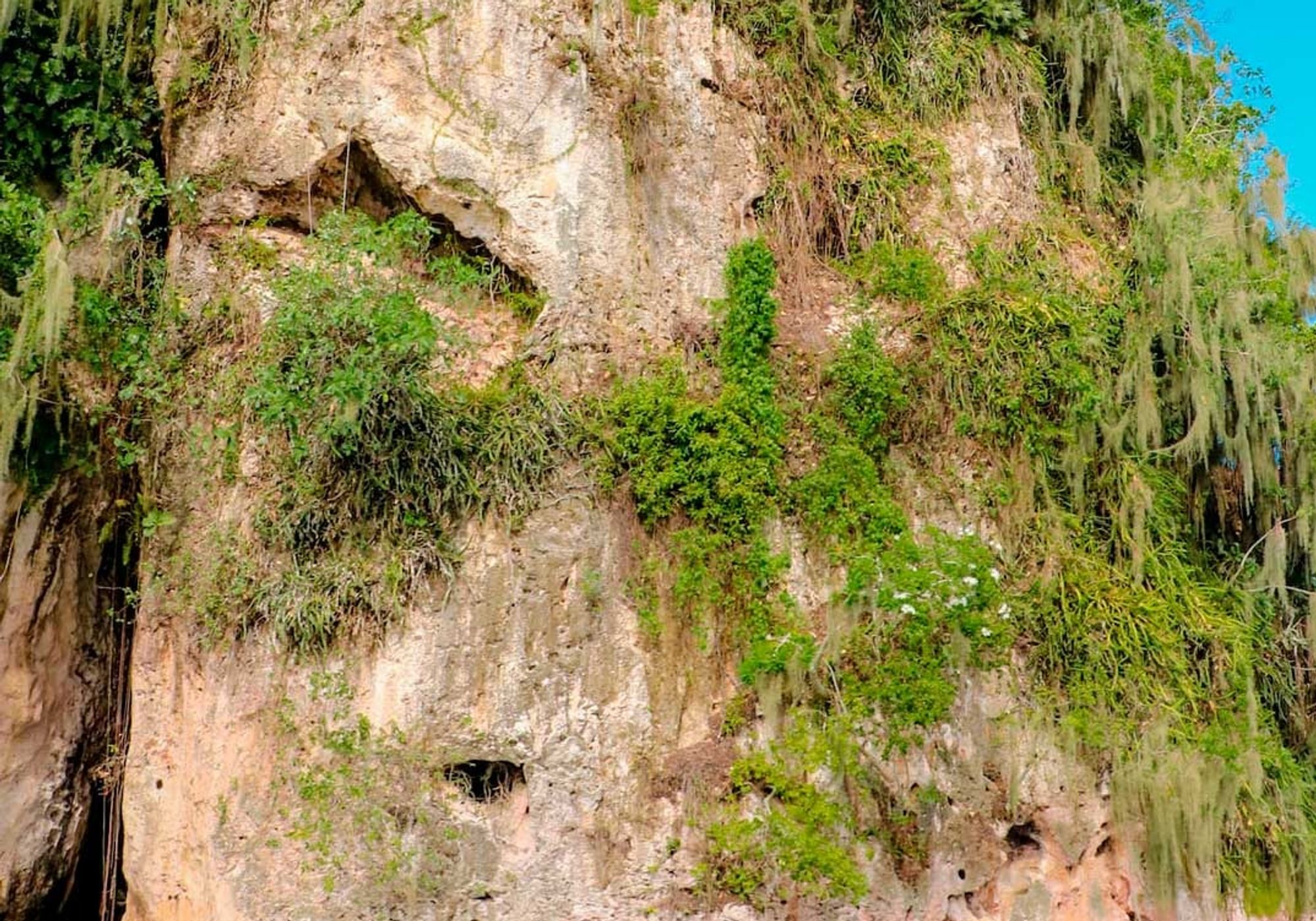 Los Haitises National Park & Montaña Redonda gallery 2