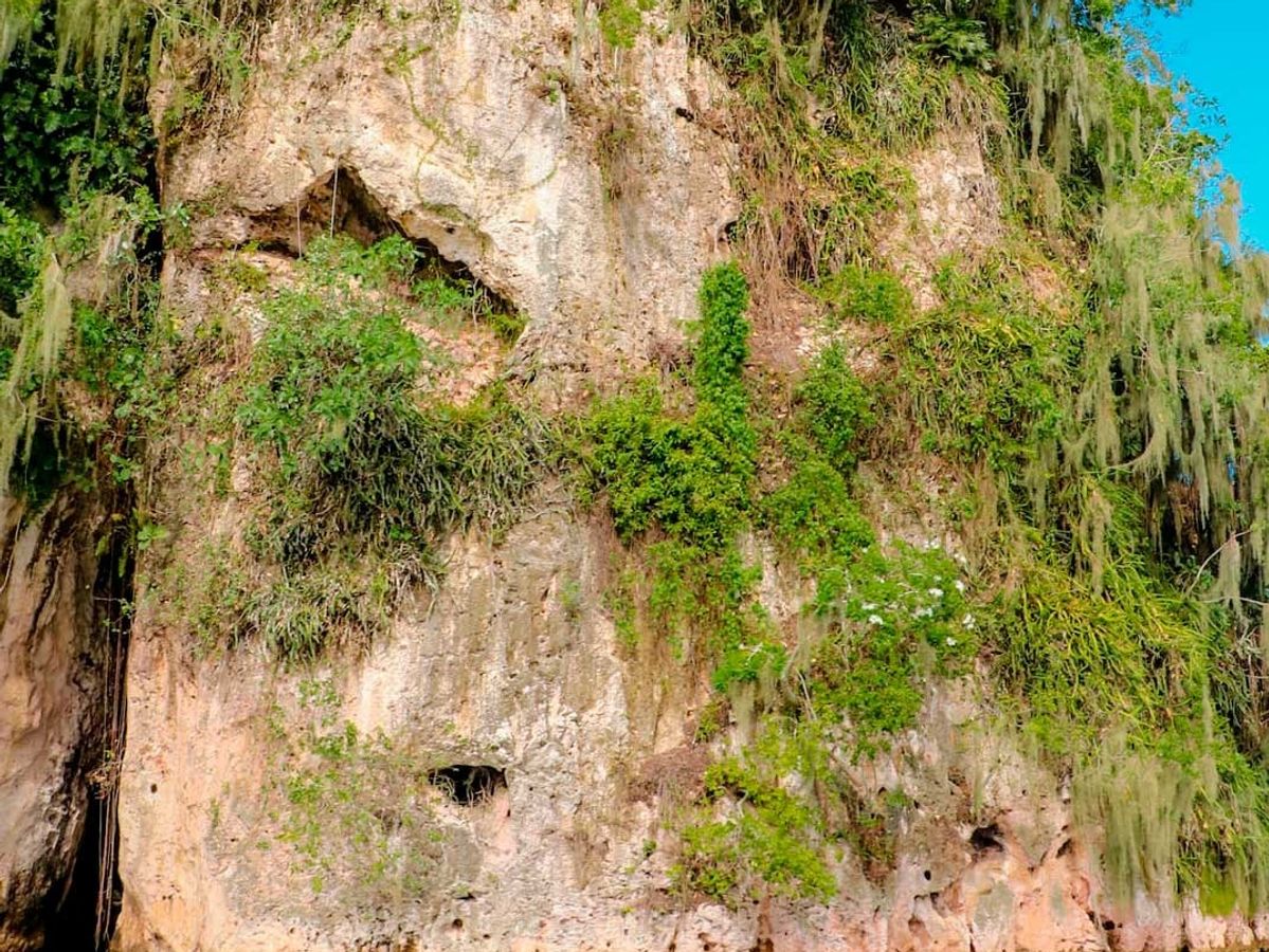 Los Haitises National Park & Montaña Redonda image 2