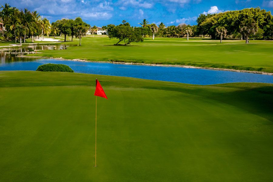 Cocotal Golf & Country Club — 1