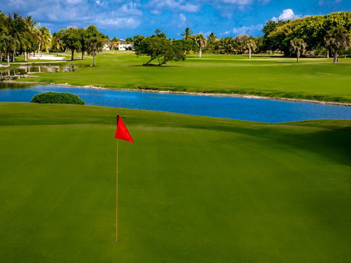 Cocotal Golf & Country Club image 1
