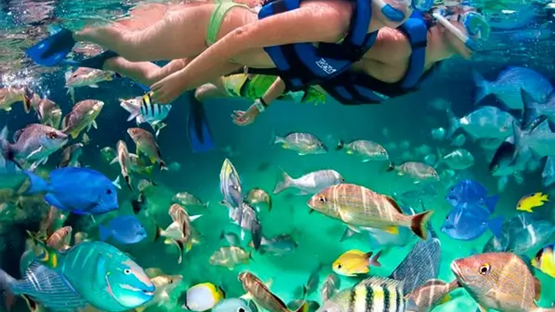 The Best Excursions in Punta Cana (Ranked by Experience, Not Price)