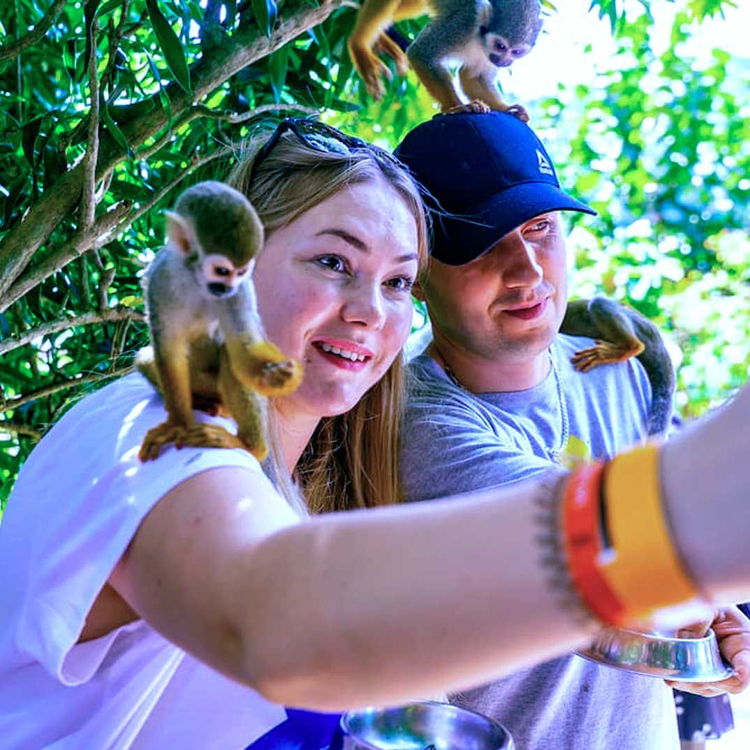 Monkeyland Safari Punta Cana — 4