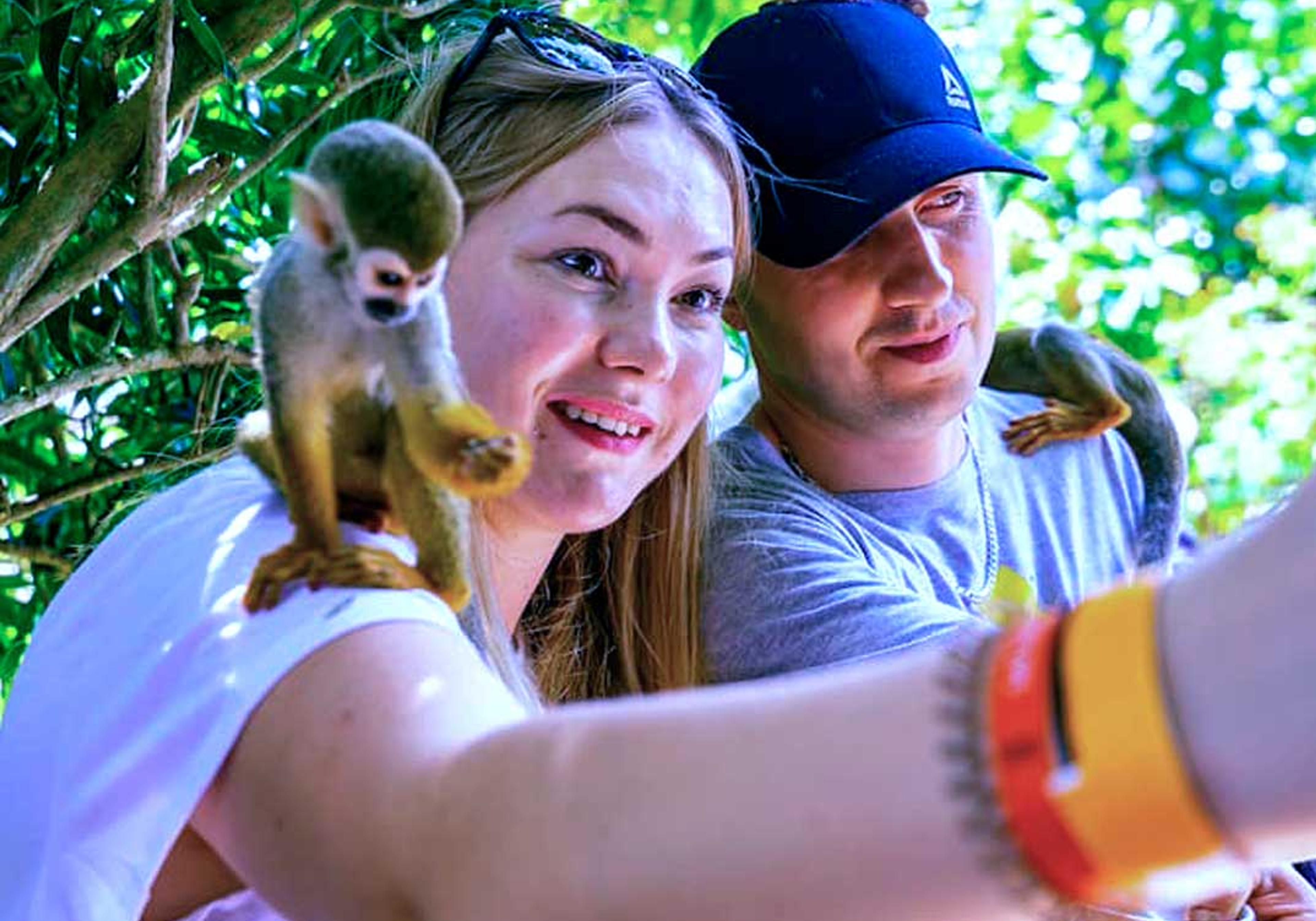 Monkeyland Safari Punta Cana — 4