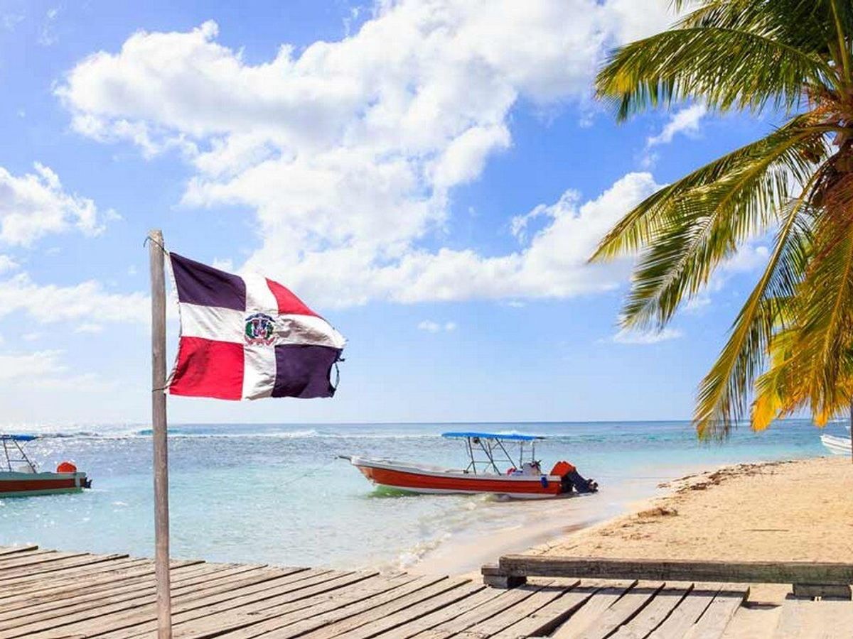 Île Saona VIP : Une escapade tropicale mémorable image 3