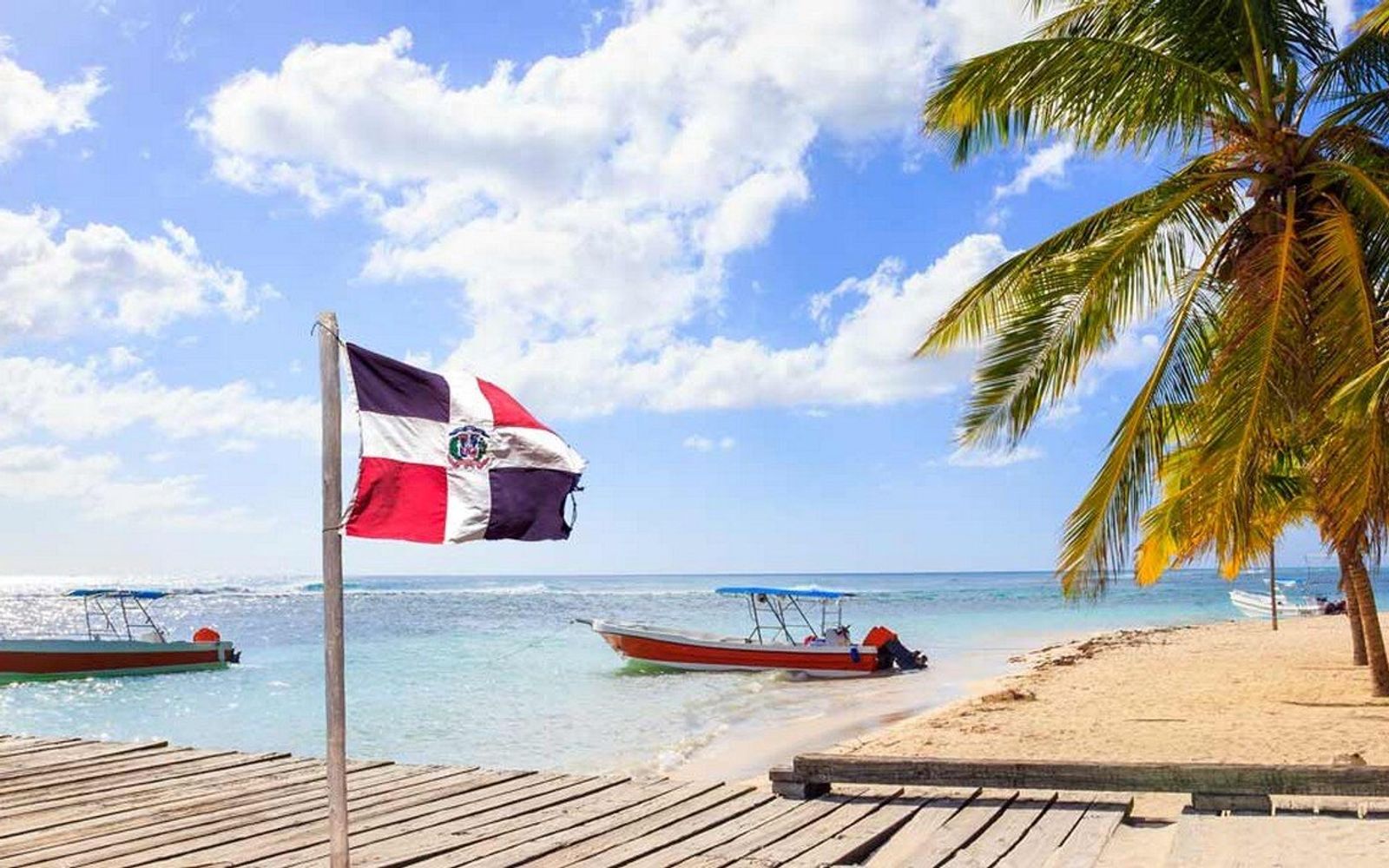 Île Saona VIP : Une escapade tropicale mémorable image 3
