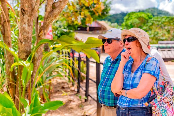 Dominican Culture Safari — 3