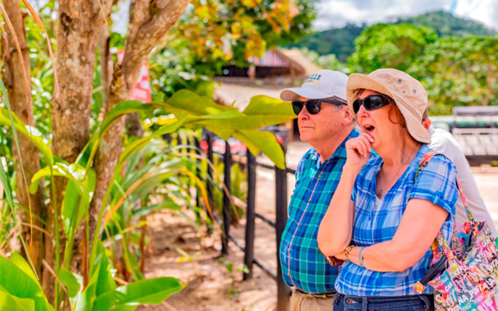 Dominican Culture Safari image 3