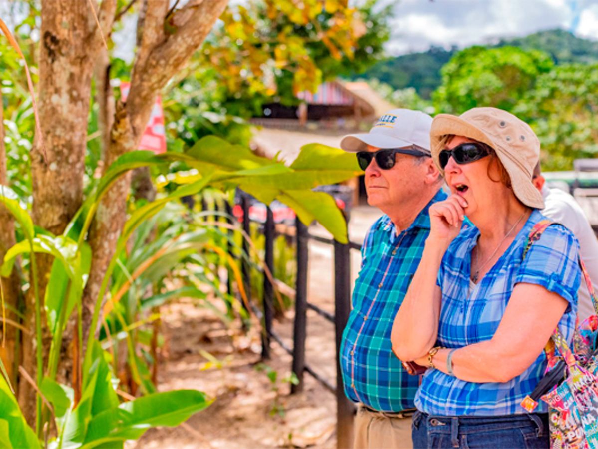 Dominican Culture Safari image 3