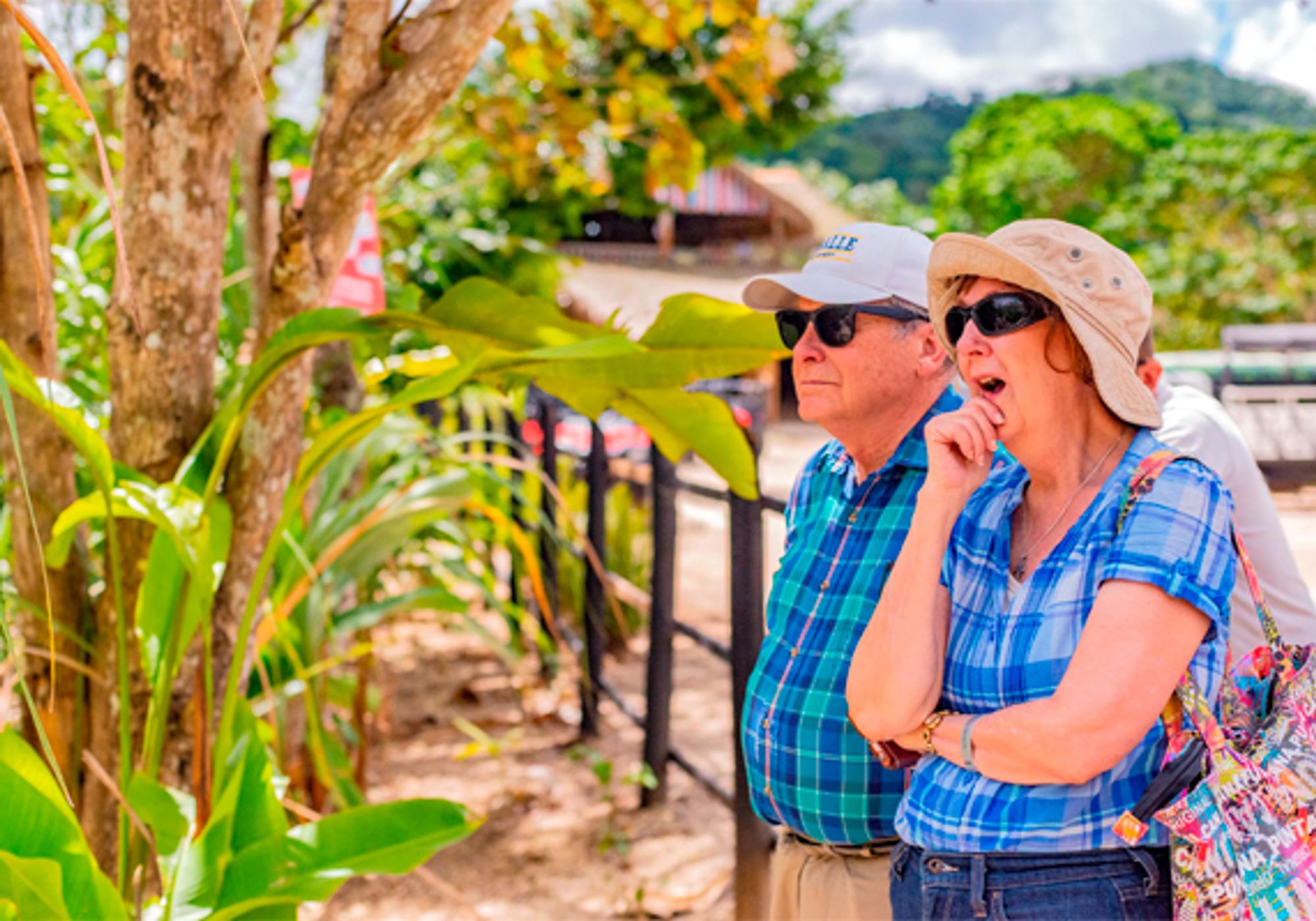 Dominican Culture Safari gallery 3