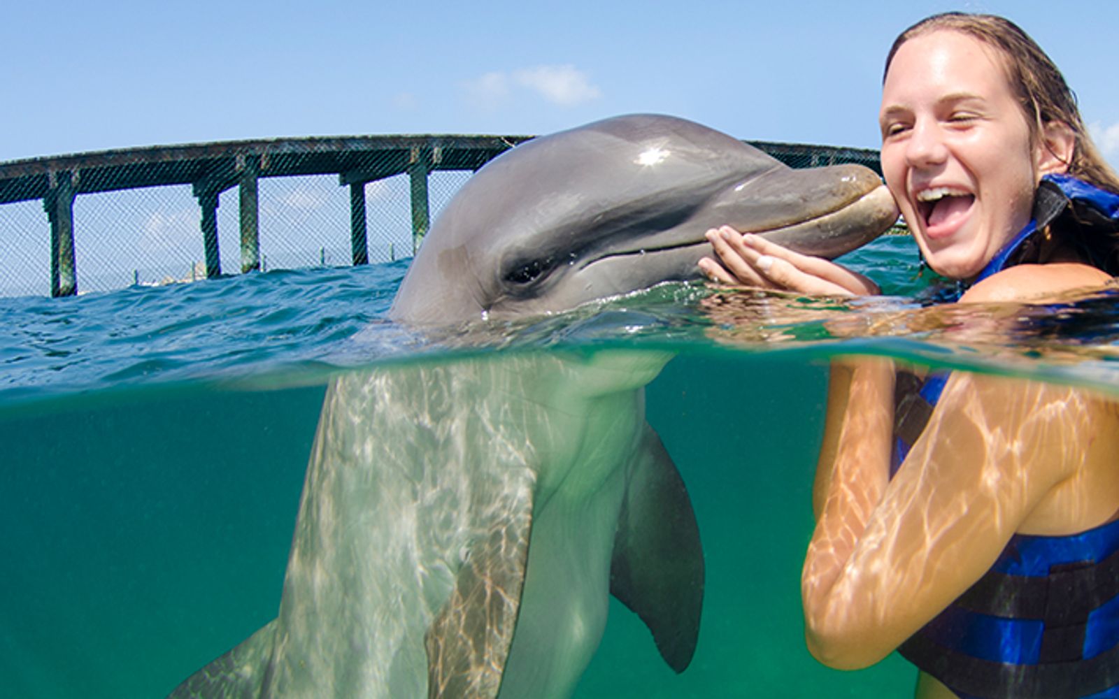 Swim with Dolphins Supremacy image 1