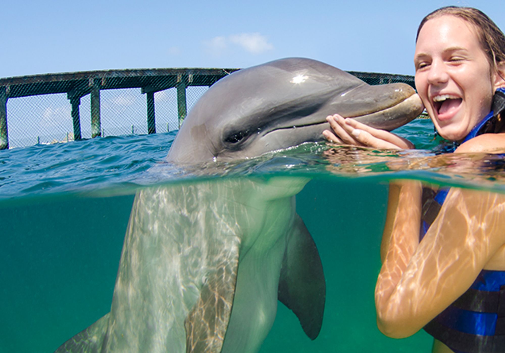 Swim with Dolphins Supremacy gallery 1