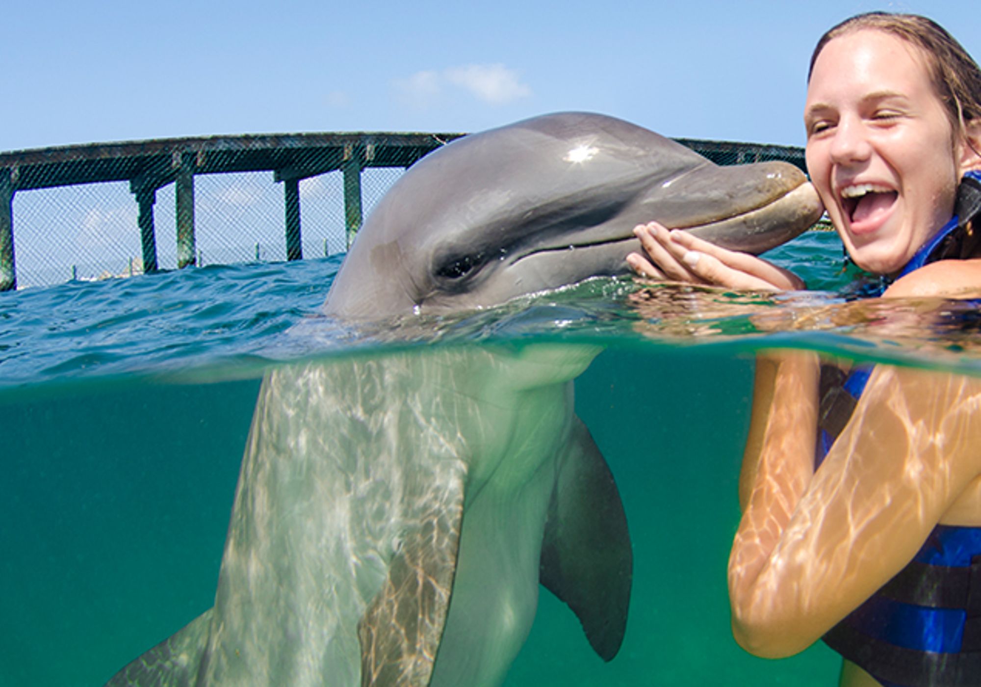 Swim with Dolphins Supremacy gallery 1