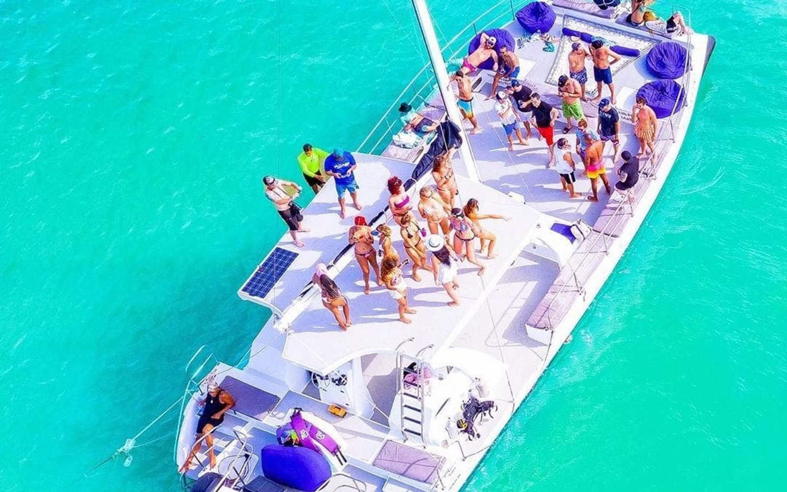 Tour de Power Diving y Snorkeling en Punta Cana image 2