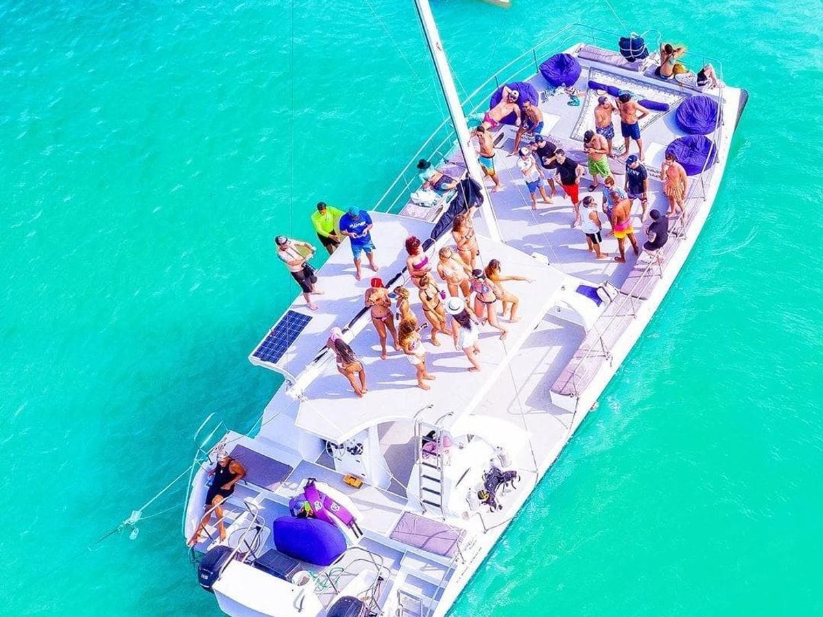Tour de Power Diving y Snorkeling en Punta Cana image 2