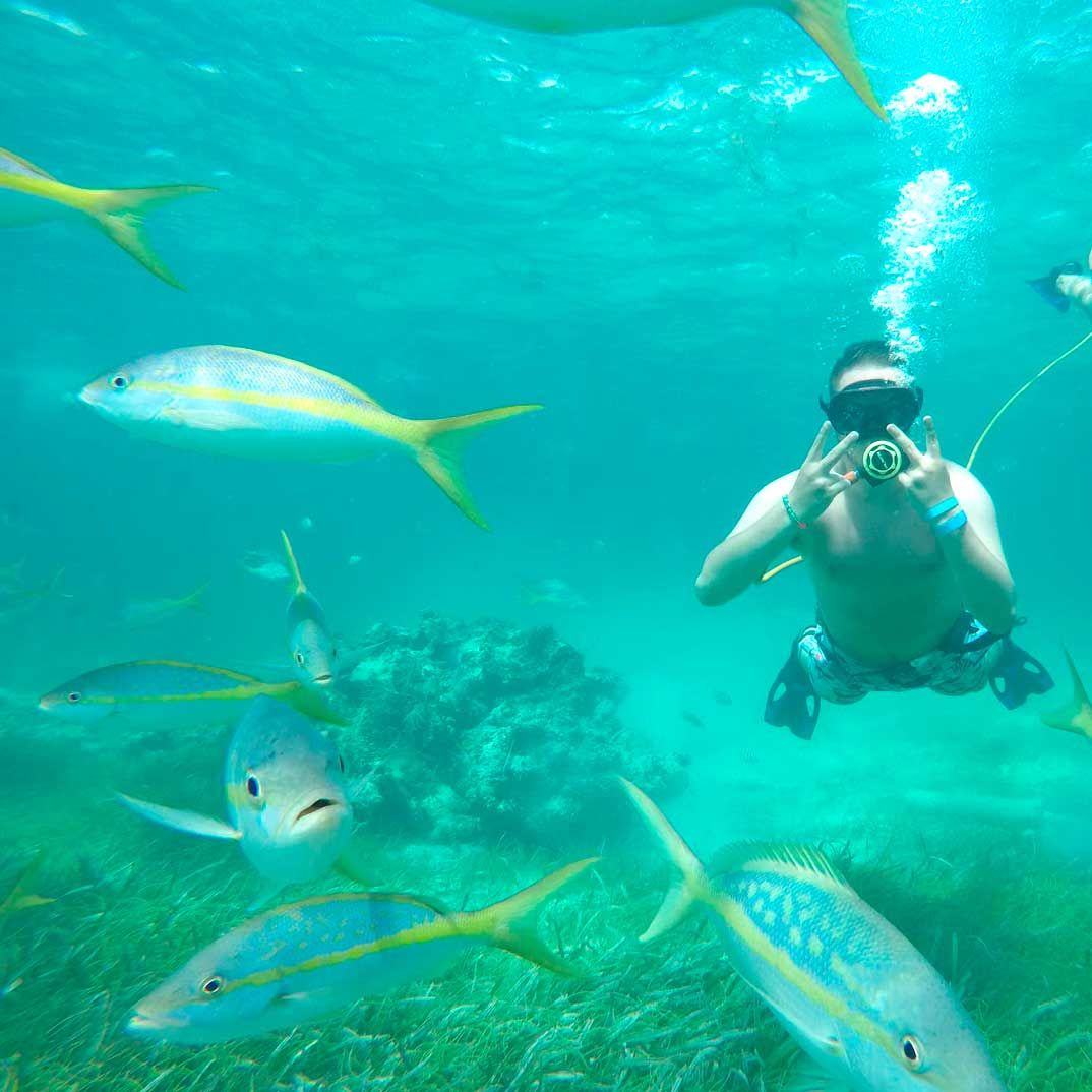 Tour de Power Diving y Snorkeling en Punta Cana — 4