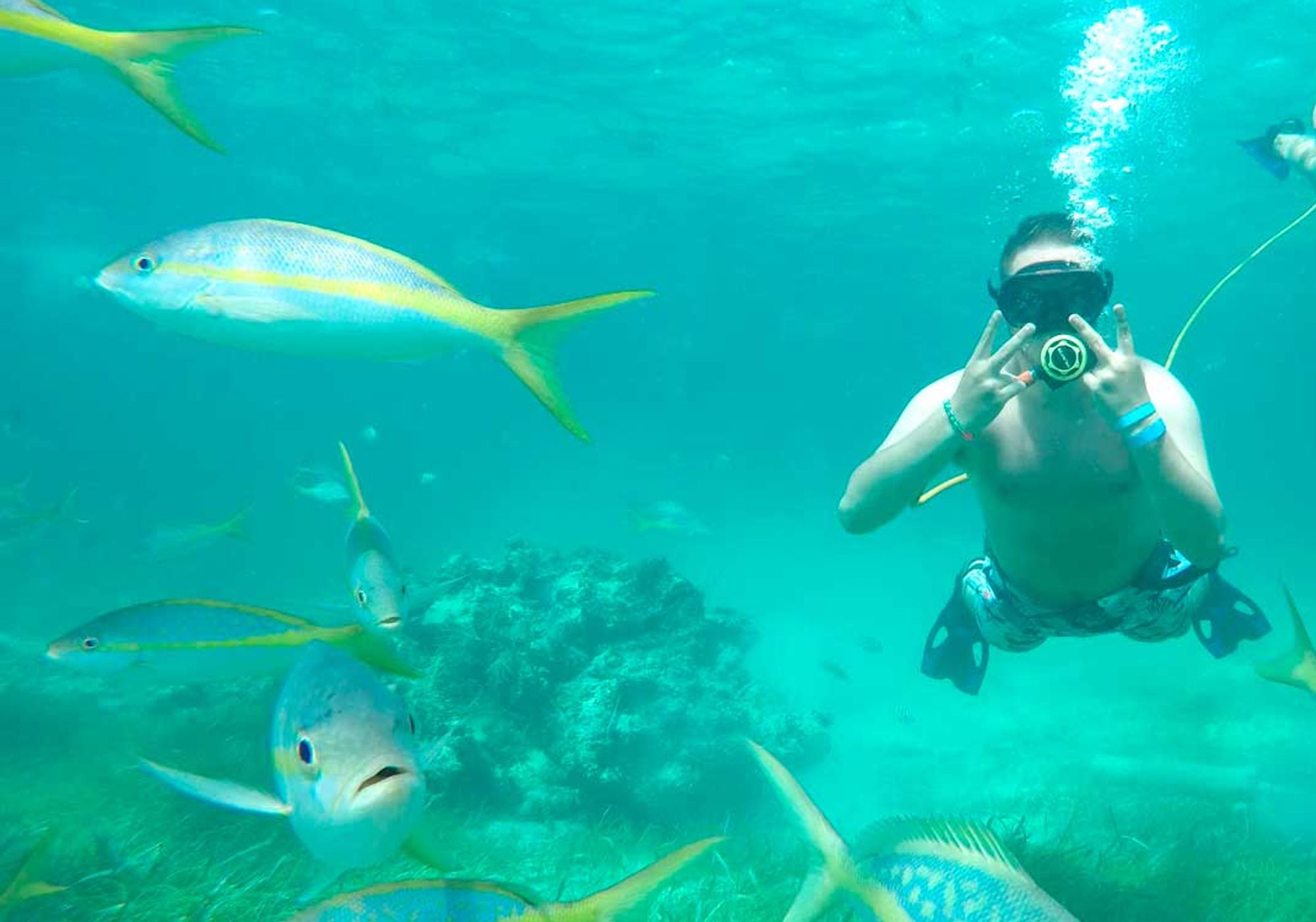 Power Diving & Snorkeling in Punta Cana gallery 1