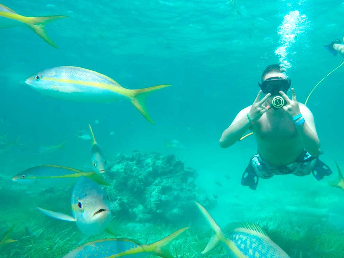 Power Diving & Snorkeling in Punta Cana image 1